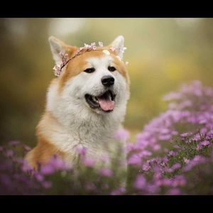 Meet your Posher, Turner